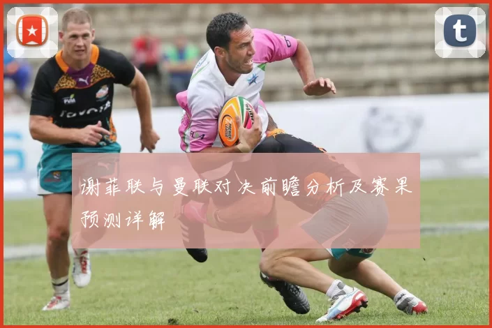 谢菲联与曼联对决前瞻分析及赛果预测详解